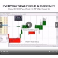 EASY 30 - 100 PIPS DAILY WITH ENTRY BUY SELL BOX SIGNAL ALERT (Non Repaint!)